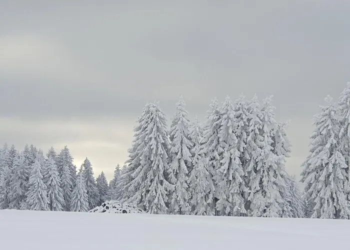 Дом отдыха Schwarzatalblick In Ortsteil Boehlscheiben *