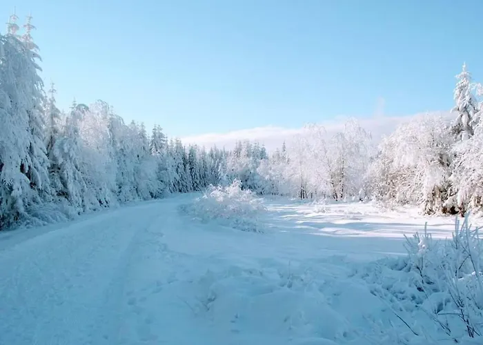 Schwarzatalblick In Ortsteil Boehlscheiben Дом отдыха Бад-Бланкенбург