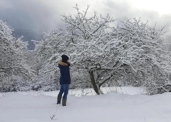 Schwarzatalblick In Ortsteil Boehlscheiben * Bad Blankenburg