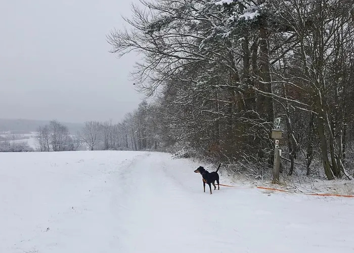 Schwarzatalblick In Ortsteil Boehlscheiben 度假居