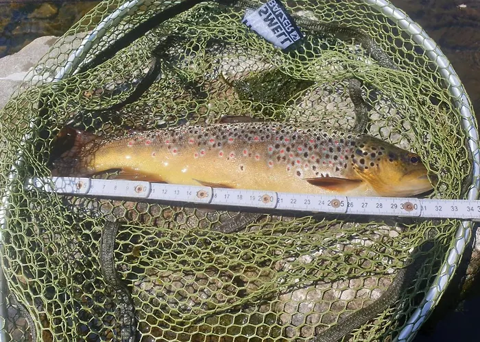 Schwarzatalblick In Ortsteil Boehlscheiben Bad Blankenburg